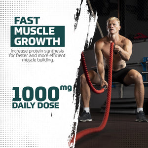 Ecdysterone 98% 120 capsules 500mg
